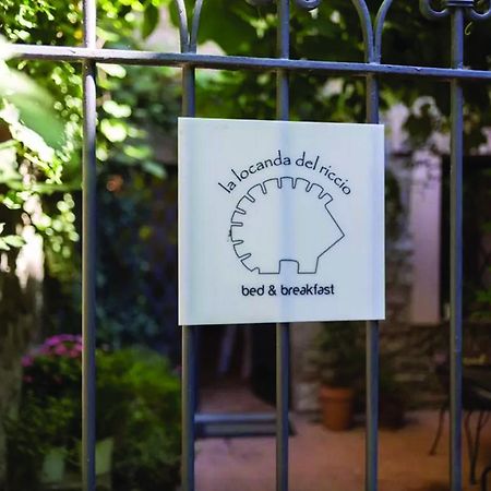 罗肯德里奇奥住宿加早餐旅馆 维泰博 外观 照片